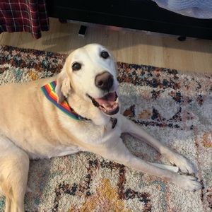 Meet your Posher, Carolyn